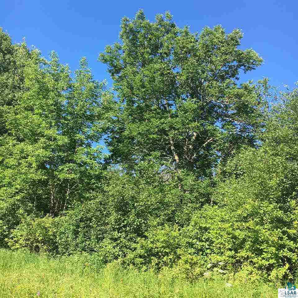 Ooooo Hoover Line Road Iron River, WI 54847 - Photo 3 of 4 Gallery Image 3