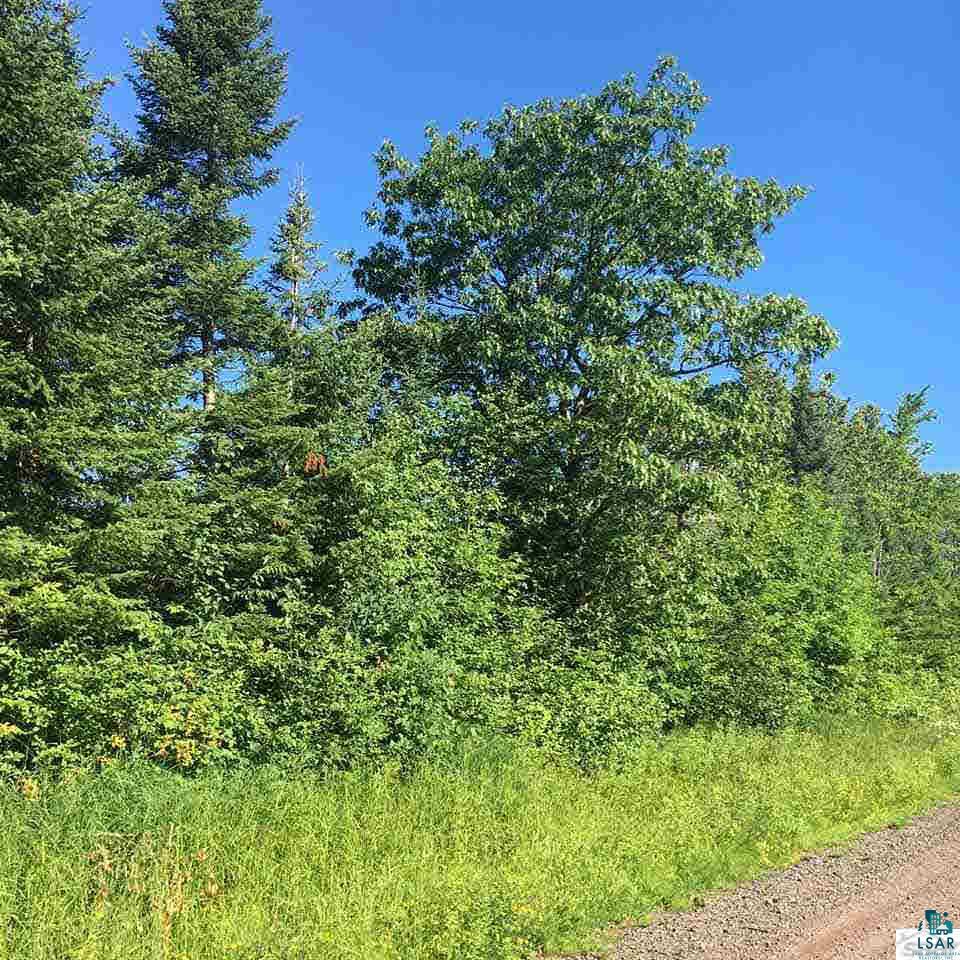 Ooooo Hoover Line Road Iron River, WI 54847 - Photo 4 of 4 Gallery Image 4