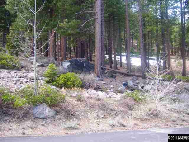 125 West Jeffrey Pine Road Reno, NV 89511 - Photo 1 of 2 Photo 1