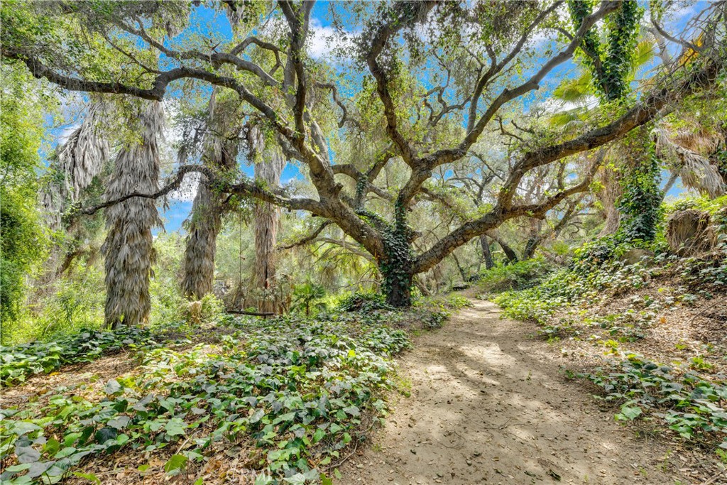 3013 Olive Hill Road Fallbrook, CA 92028 - Photo 73 of 75