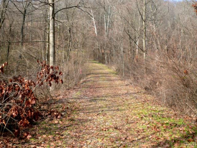 Lot Station Lot Station Road Robesonia, PA 19551 - Photo 3 of 4