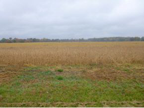0 South R 4 North Liberty, IN 46554 - Photo 2 of 2 Gallery Image 2