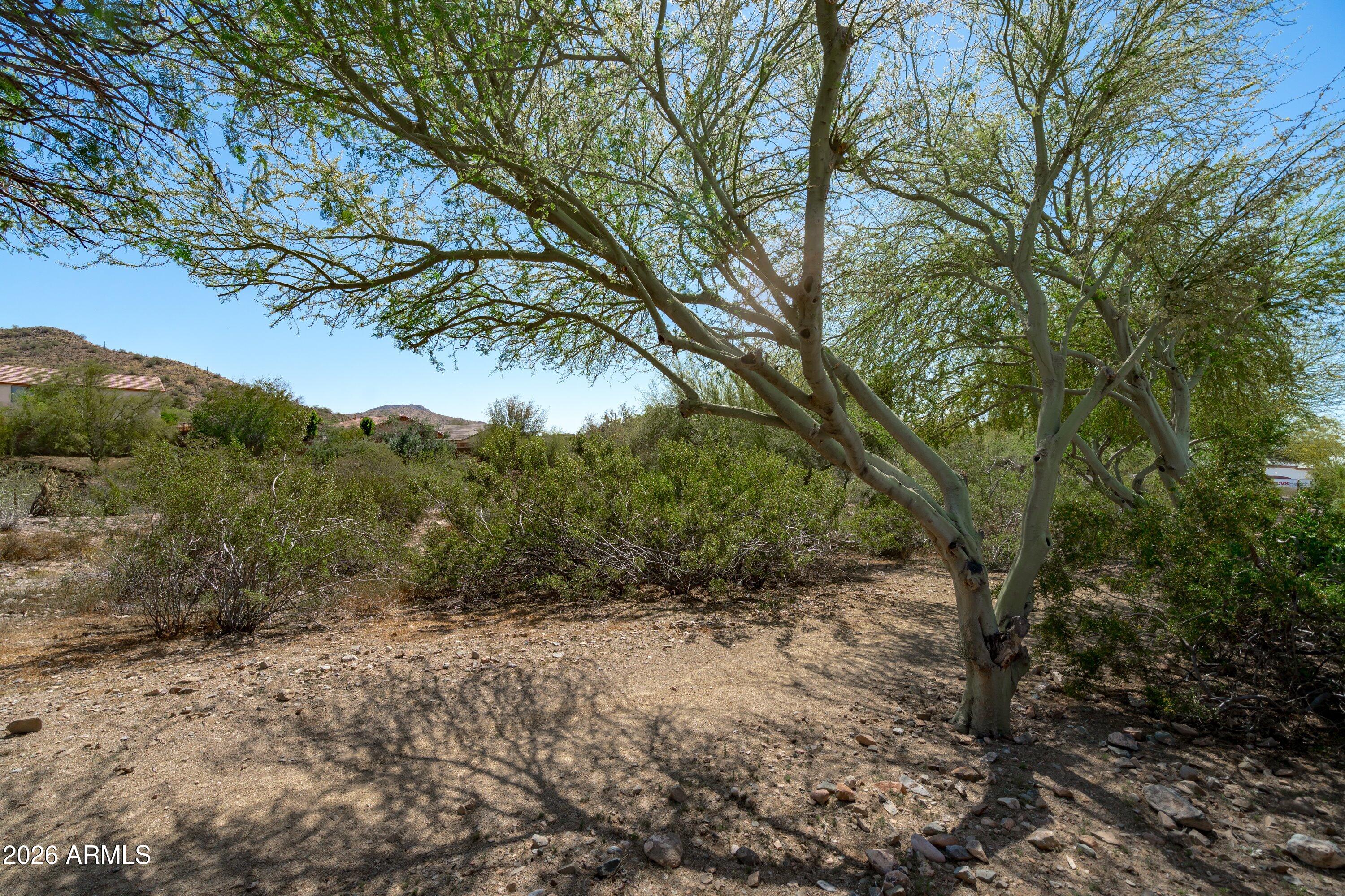 28619 North Nobel Road Phoenix, AZ 85085 - Photo 35 of 36 41-Backyard View