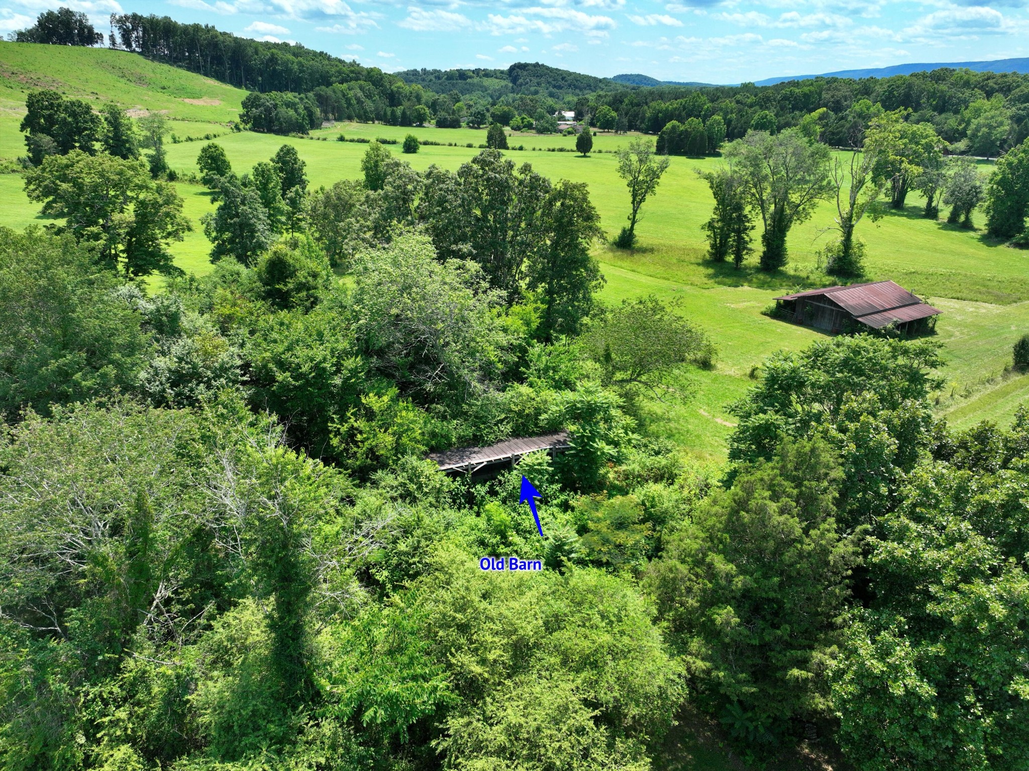5858 Wolf Creek Road Spring City, TN 37381 - Photo 71 of 76