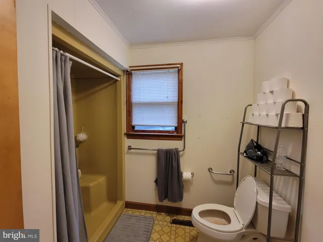 a bathroom with a toilet and a shower