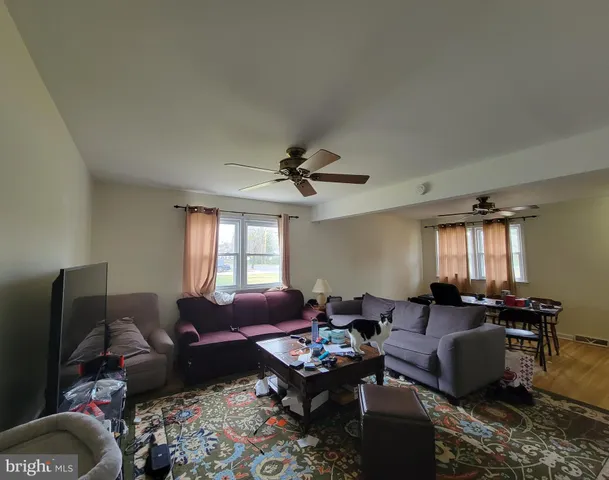 a living room with furniture potted plant and a window