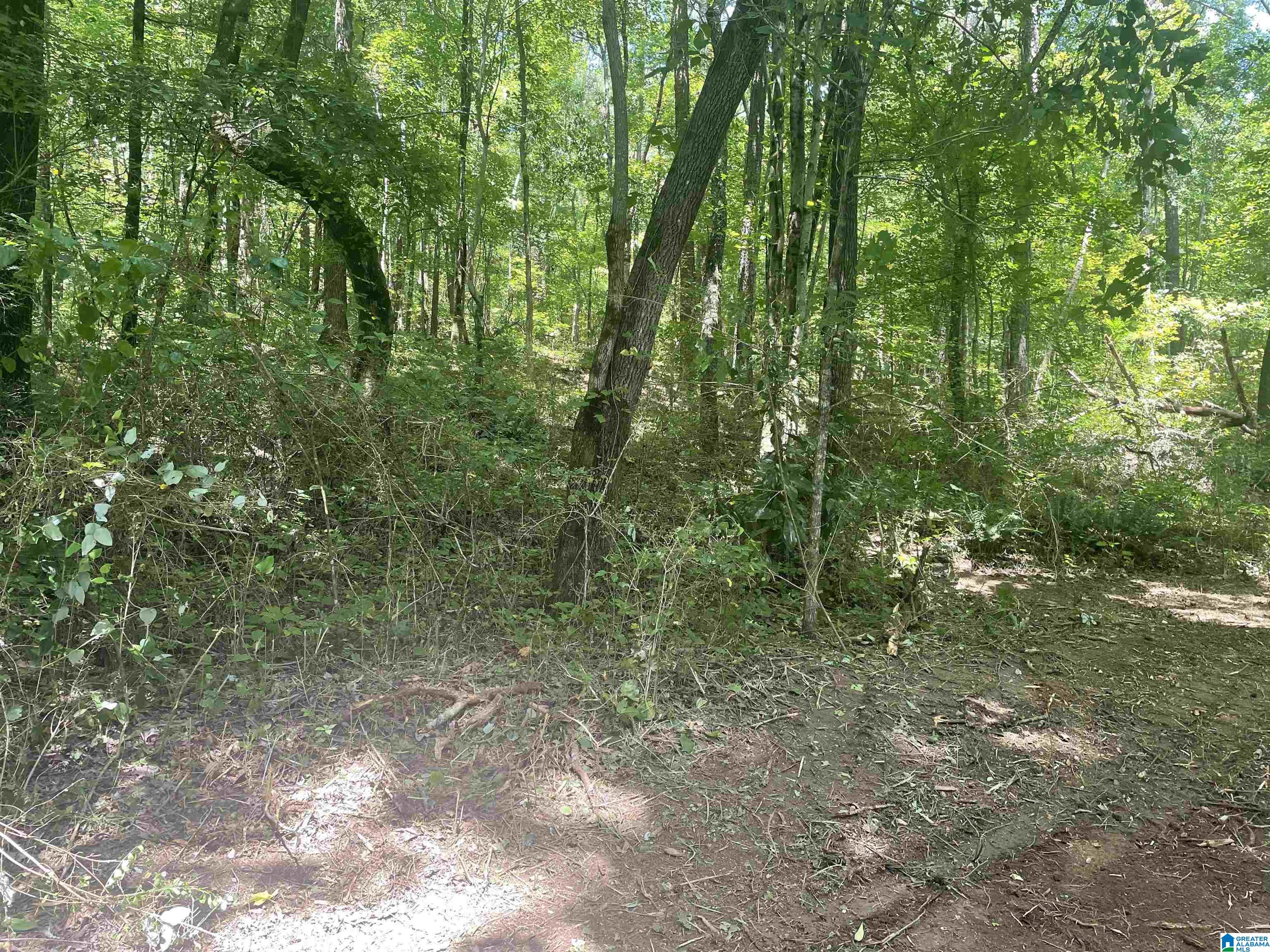 6740 Tucker Brown Road, Unit 9 75 Pinson, AL 35126 - Photo 33 of 44