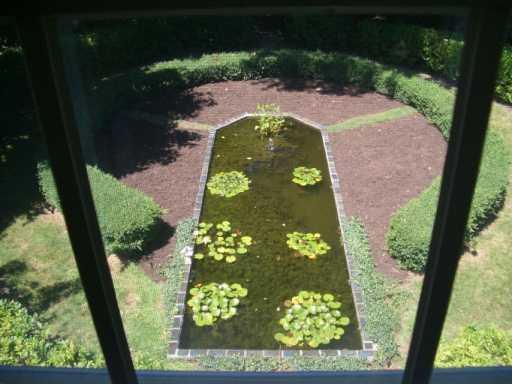 Yard/Garden. 