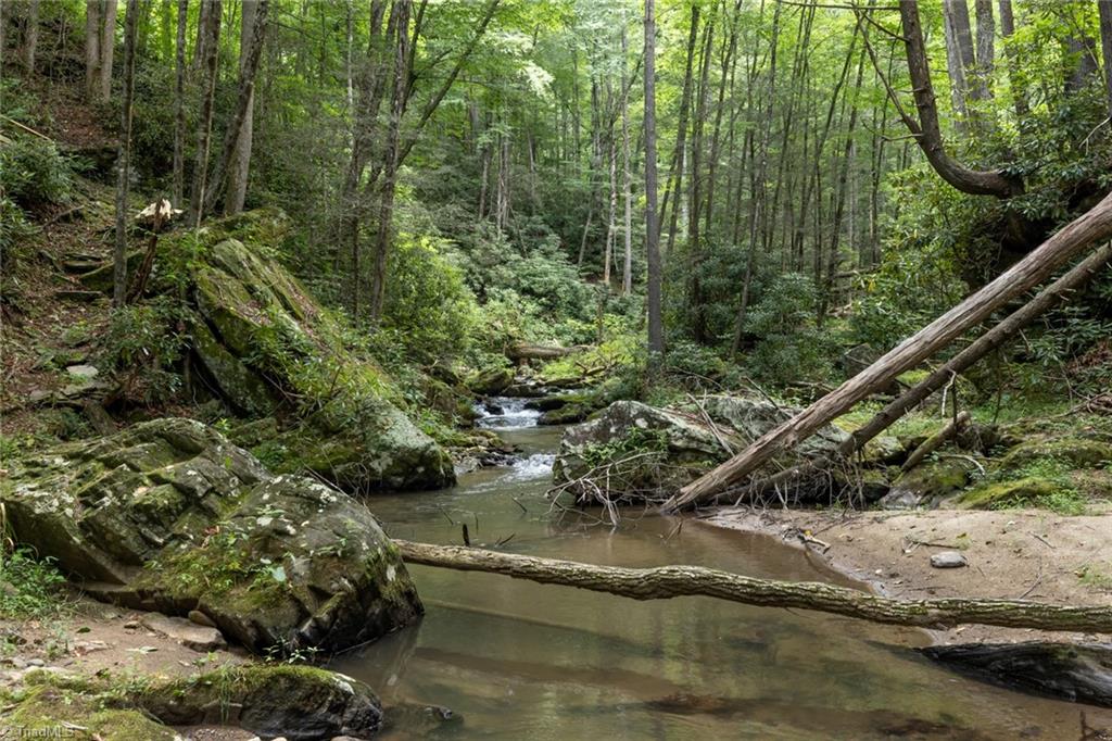 1612 Fall Creek Road Purlear, NC 28665 - Photo 17 of 49