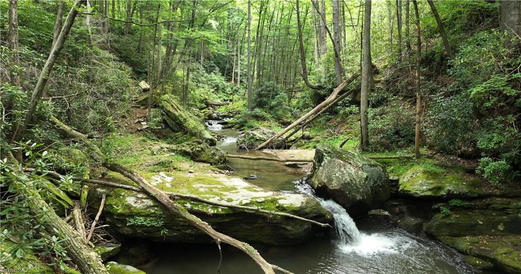 1612 Fall Creek Road Purlear, NC 28665 - Photo 20 of 49