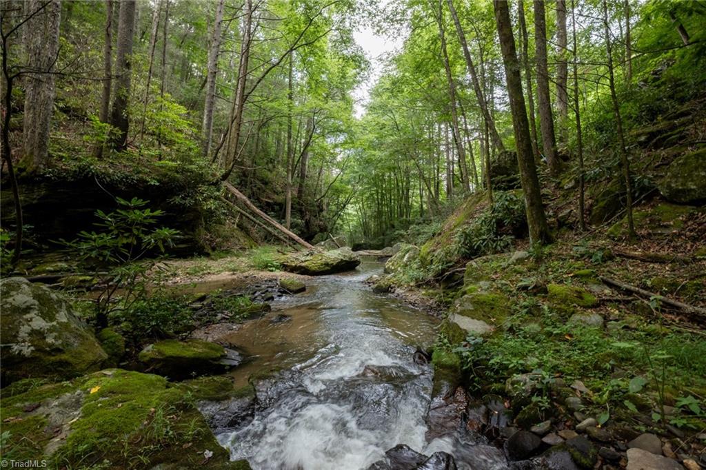 1612 Fall Creek Road Purlear, NC 28665 - Photo 2 of 49