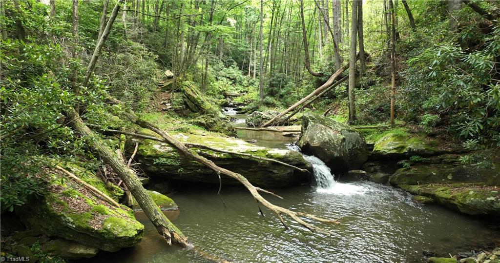 1612 Fall Creek Road Purlear, NC 28665 - Photo 22 of 49