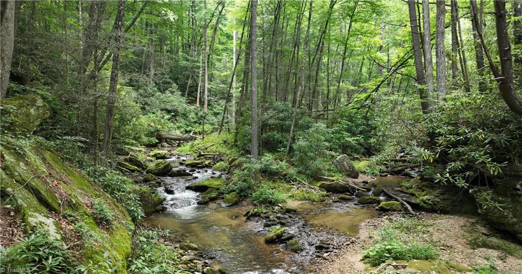 1612 Fall Creek Road Purlear, NC 28665 - Photo 24 of 49