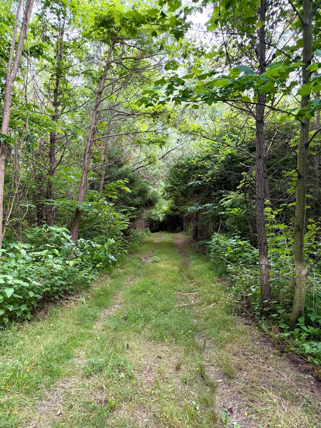 0 North Falls Road Bainbridge, OH 45612 - Photo 74 of 99