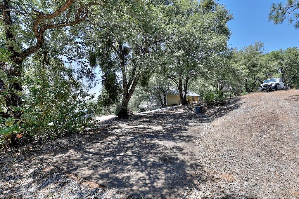 12825 Mierkey Road Pine Grove, CA 95642 - Photo 69 of 84