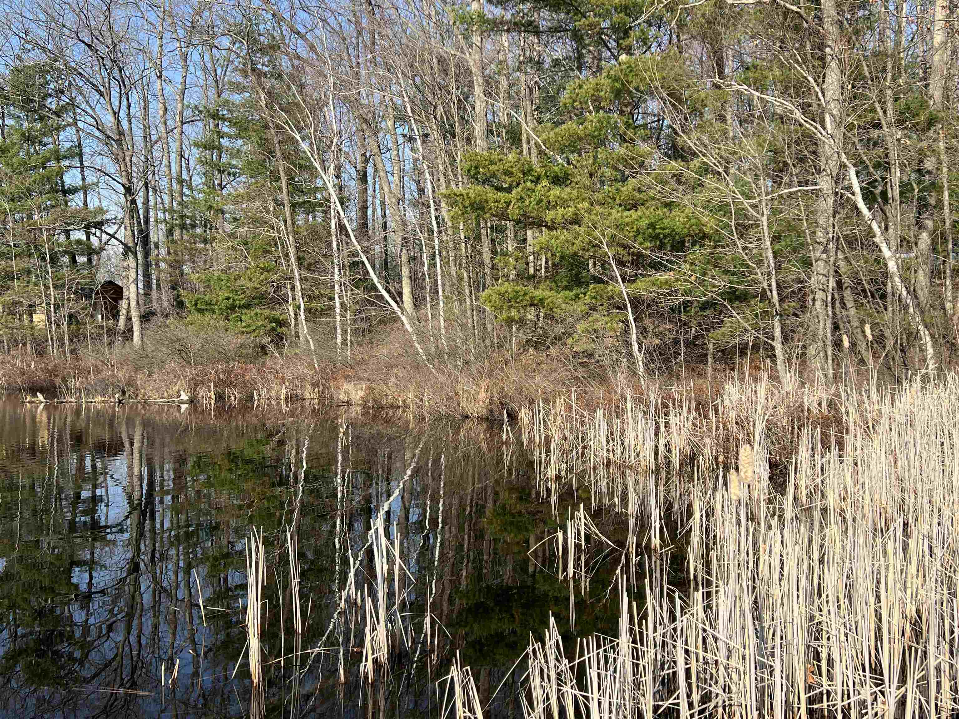 4680 Hayes Road Harrison, MI 48625 - Photo 8 of 13