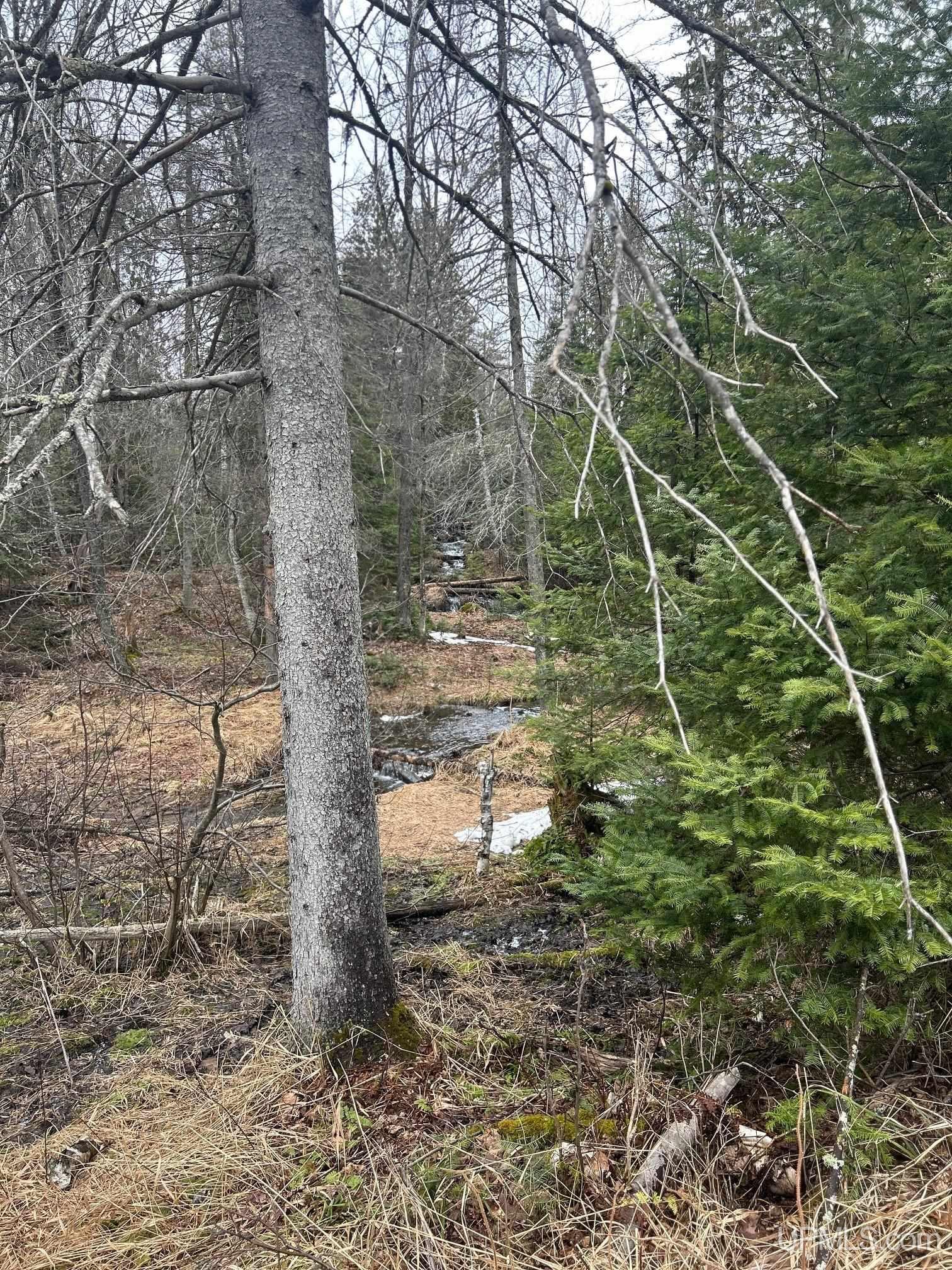 101 Kivela Road Negaunee, MI 49866 - Photo 50 of 52 Gallery Image 50