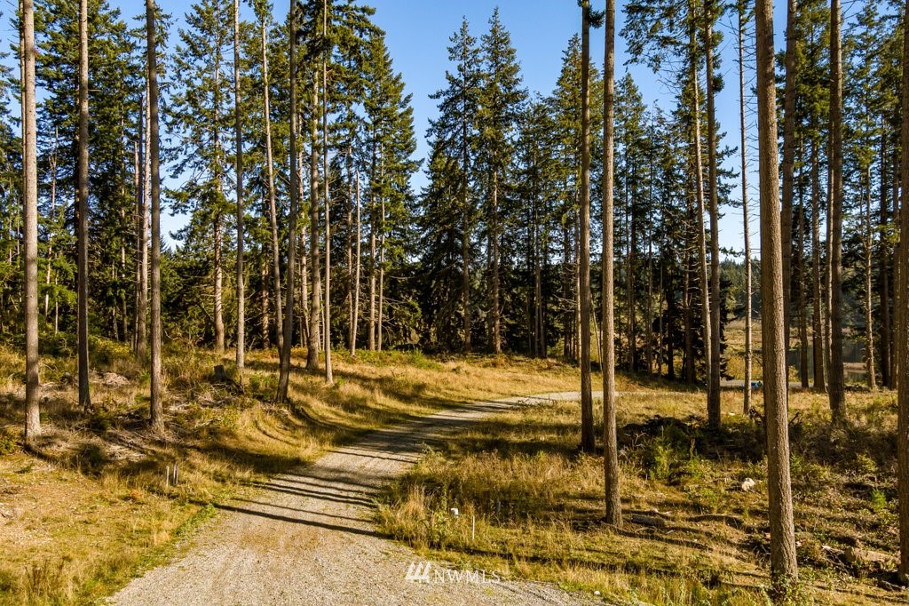 3 Cultus Bay Road Clinton, WA 98236 - Photo 22 of 25 Gallery Image 22