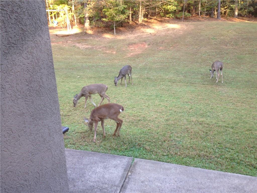 3357 Rising Fawn Trail Suwanee, GA 30024 - Photo 93 of 93 a backyard of a house with table and chairs