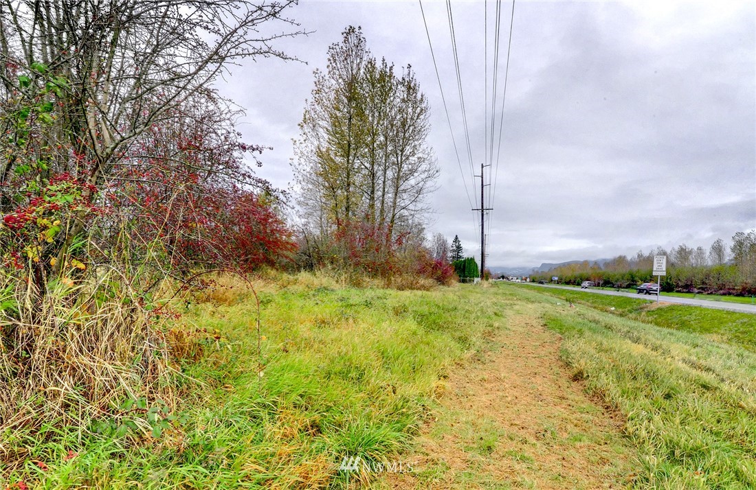 0 Johnson Street Enumclaw, WA 98022 - Photo 15 of 17 a view of a garden