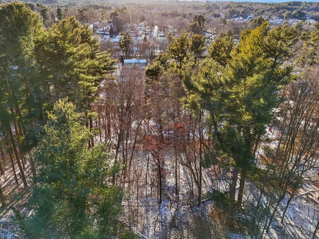 30 Green Lodge Street Canton, MA 02021 - Photo 39 of 41