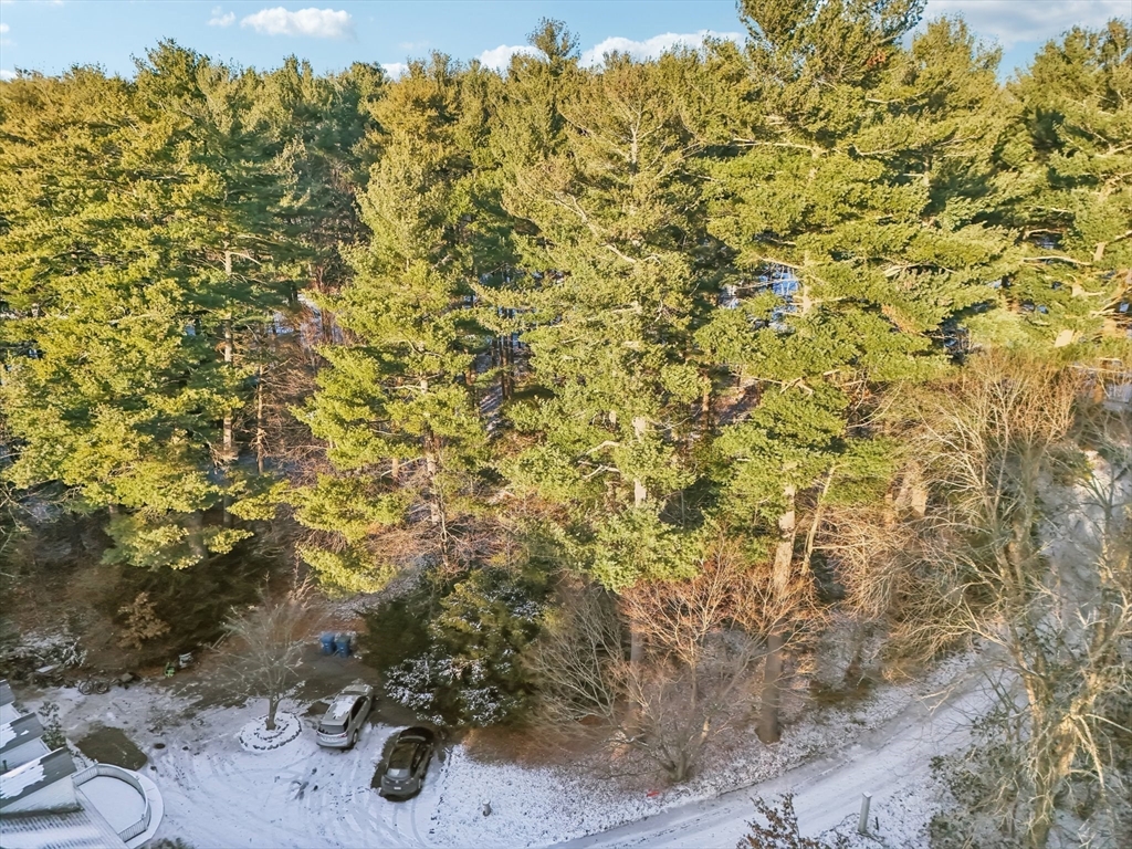 30 Green Lodge Street Canton, MA 02021 - Photo 40 of 41