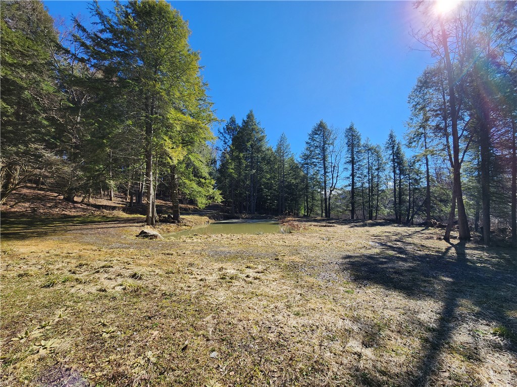 147 Buck Road Otsego, NY 13337 - Photo 12 of 21