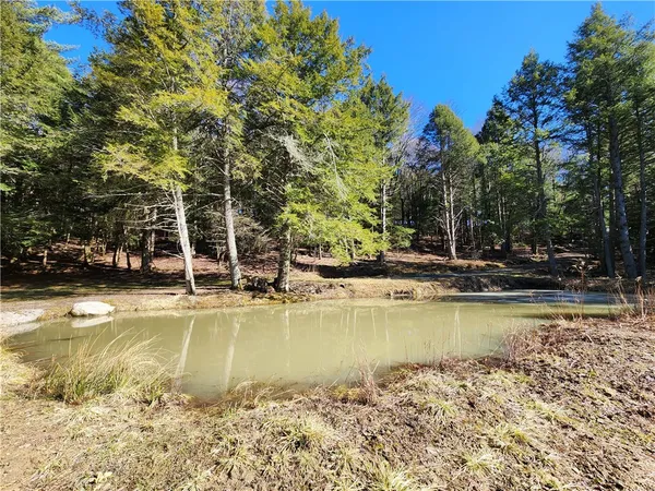 $65,000 | 147 Buck Road, Otsego, NY 13337