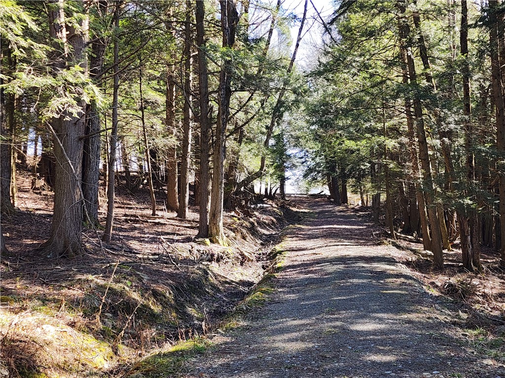 147 Buck Road Otsego, NY 13337 - Photo 14 of 21