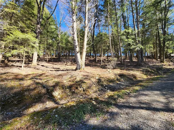 $65,000 | 147 Buck Road, Otsego, NY 13337