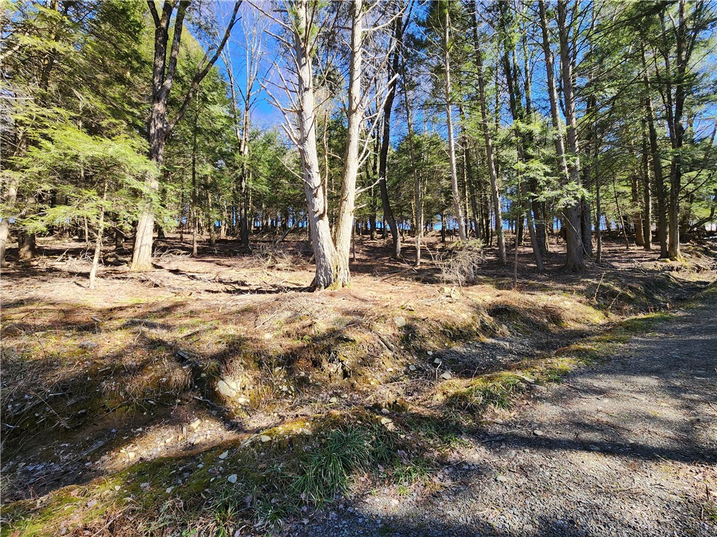 147 Buck Road Otsego, NY 13337 - Photo 16 of 21