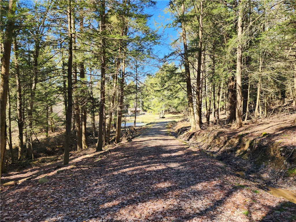 147 Buck Road Otsego, NY 13337 - Photo 18 of 21