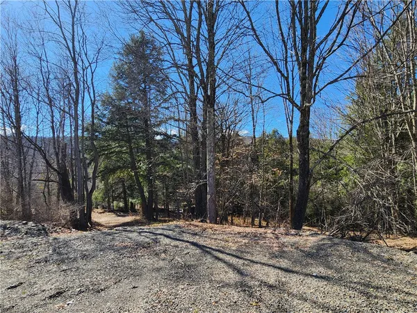 $65,000 | 147 Buck Road, Otsego, NY 13337