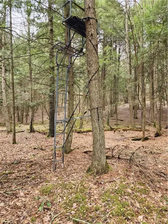 $65,000 | 147 Buck Road, Otsego, NY 13337