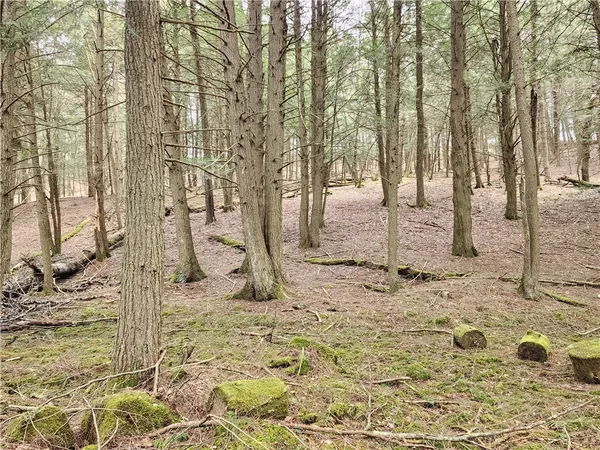 $65,000 | 147 Buck Road, Otsego, NY 13337