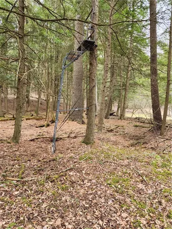 $65,000 | 147 Buck Road, Otsego, NY 13337
