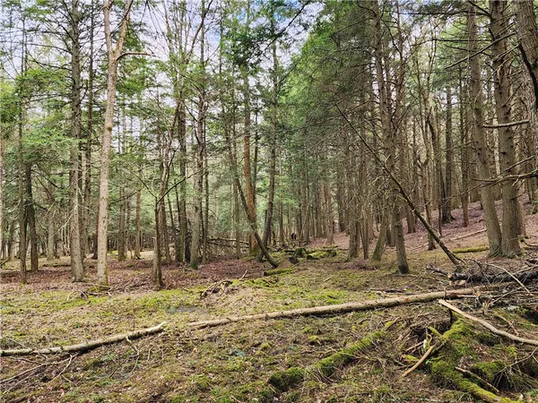 $65,000 | 147 Buck Road, Otsego, NY 13337