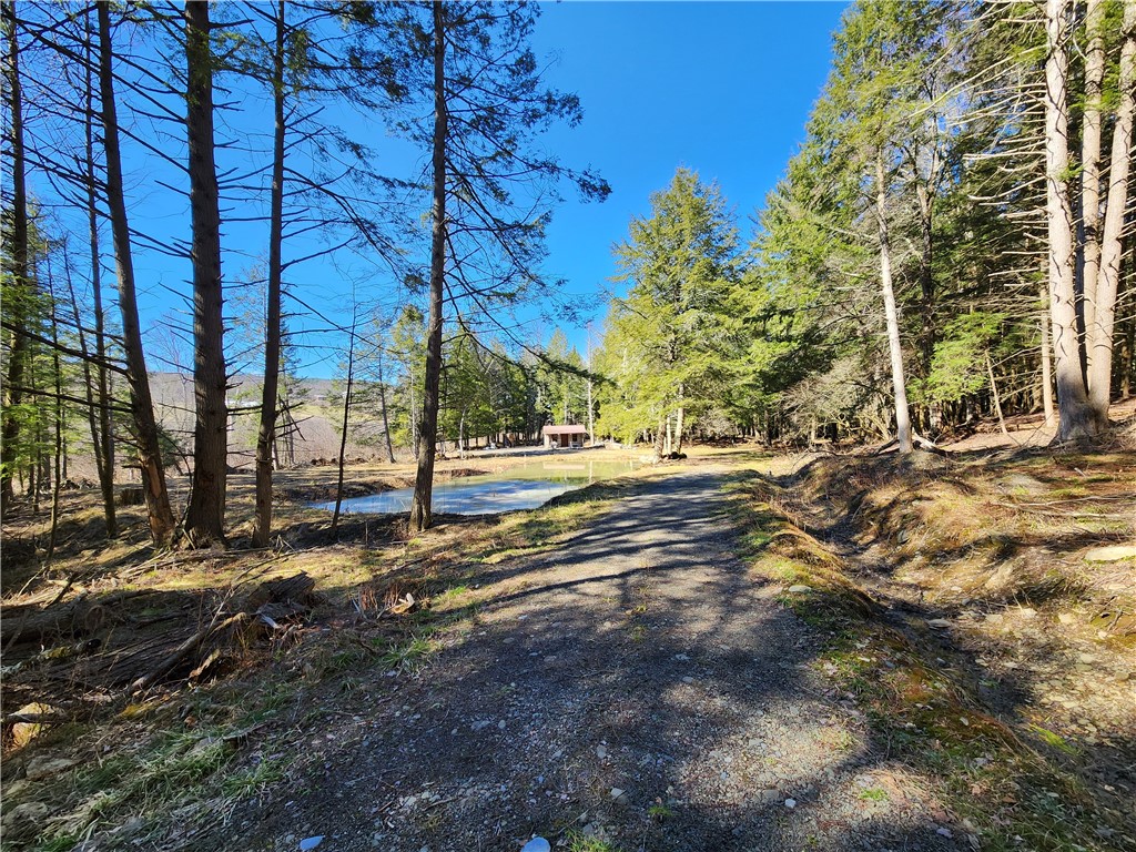 147 Buck Road Otsego, NY 13337 - Photo 4 of 21