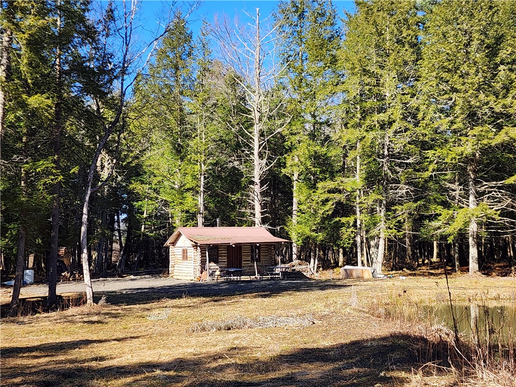 147 Buck Road Otsego, NY 13337 - Photo 6 of 21