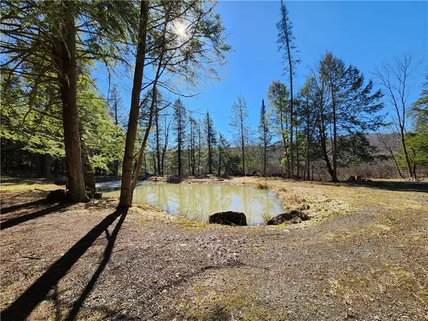 $65,000 | 147 Buck Road, Otsego, NY 13337