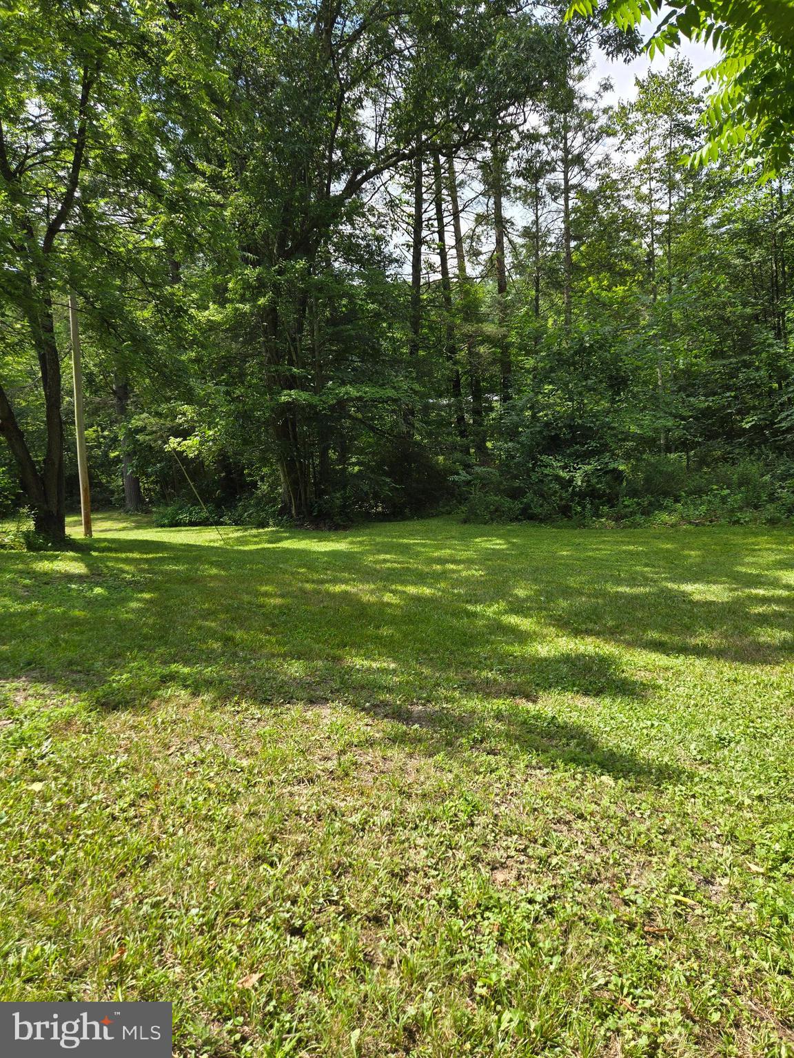 12319 Creek Road Shade Gap, PA 17255 - Photo 15 of 19 a view of a big yard with plants and large trees