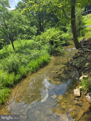 a view of a yard with plants and large trees