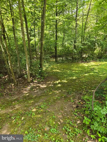 a view of outdoor space and trees