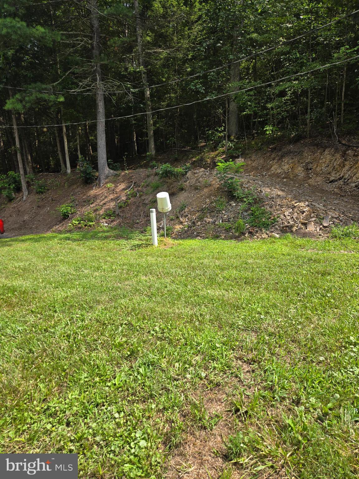12319 Creek Road Shade Gap, PA 17255 - Photo 19 of 19 a backyard of a house with lots of green space