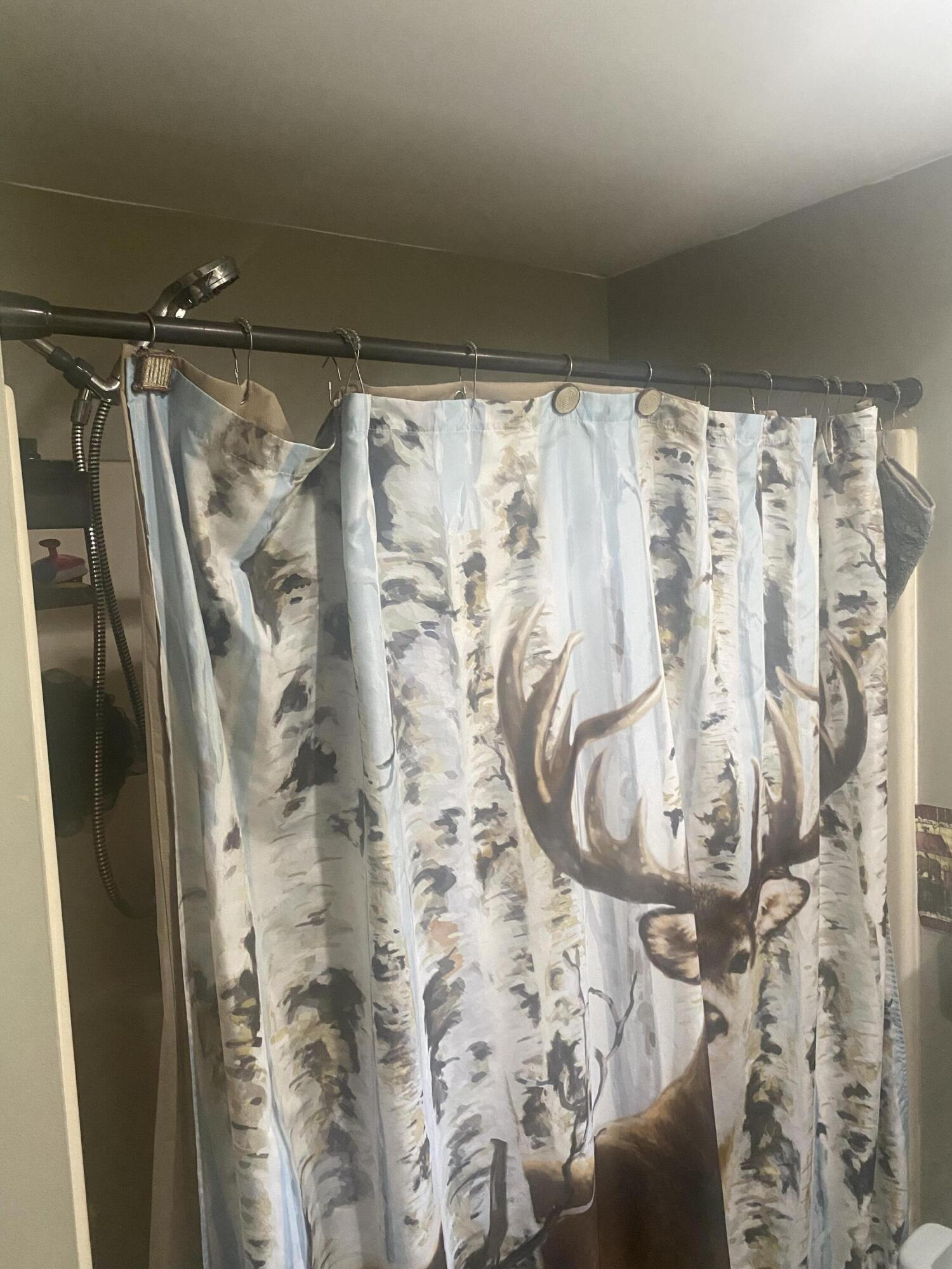 629 Albion Road Unity, ME 04988 - Photo 49 of 85 CABB2455-3EFA-4D2A-8B67-6FB50DE25519