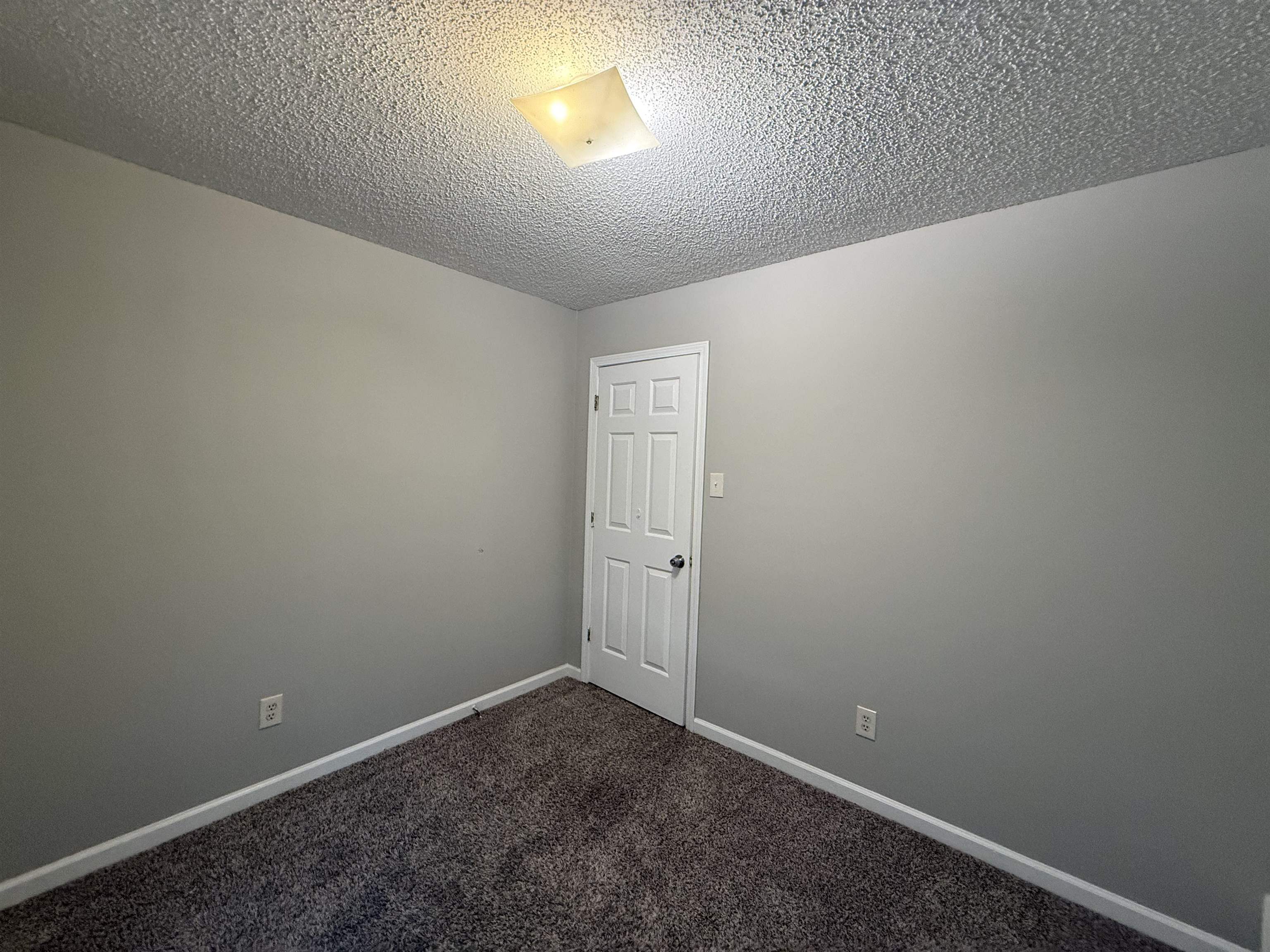 6420 Saginaw Road Memphis, TN 38134 - Photo 19 of 38 Neutral painted walls with white trim, dark textured carpeting, a white paneled door, and a flush-mount ceiling light fixture
