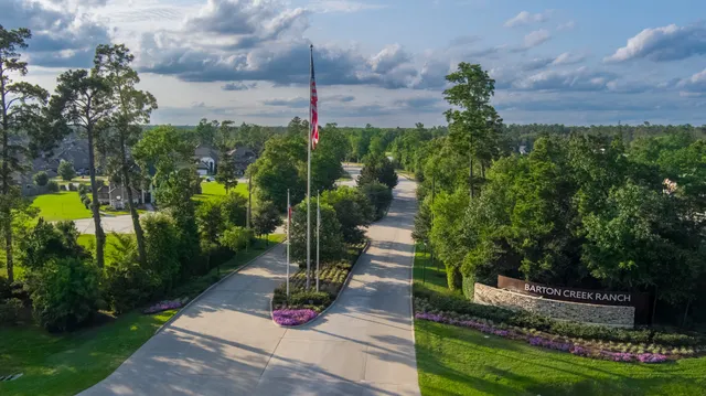 a view of a garden with plants and large trees