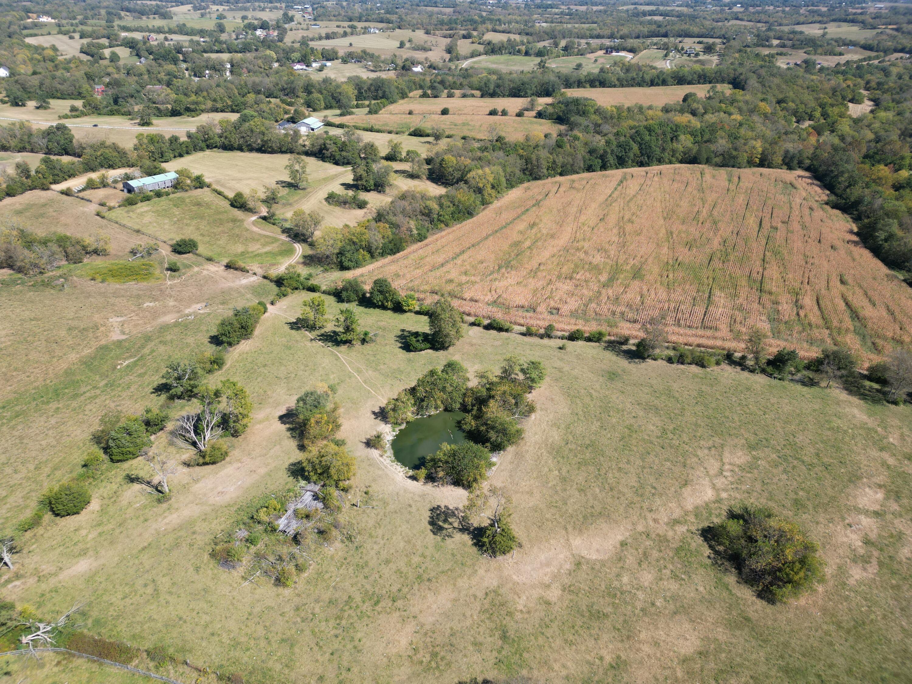 605 Delaney Ferry Road Versailles, KY 40383 - Photo 6 of 36 DJI_0109