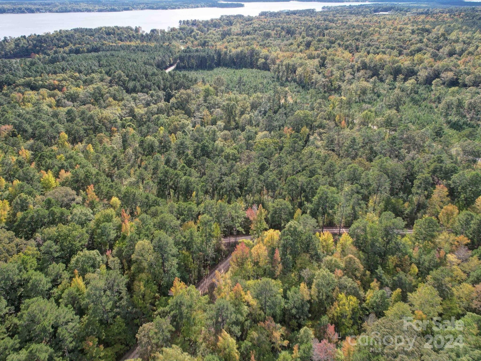 2502 Arrowhead Road Liberty Hill, SC 29074 - Photo 12 of 34