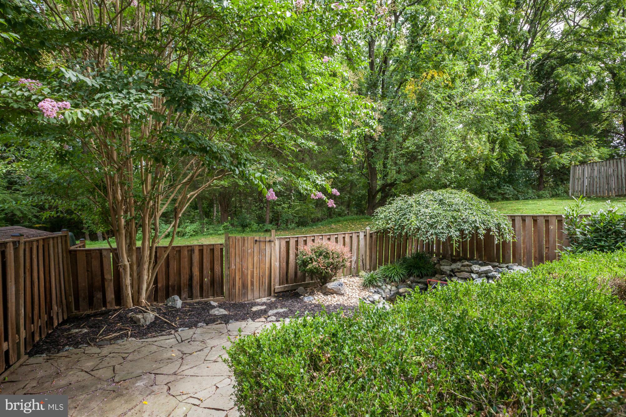 8933 Centerway Road Gaithersburg, MD 20879 - Photo 5 of 29 a garden view with plants and large trees